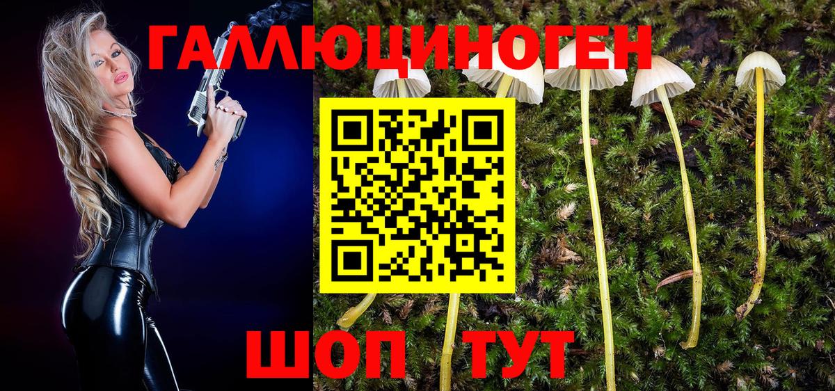 Псилоцибиновые грибы Magic Shrooms  Галлюциногенные грибы MAGIC MUSHROOMS  даркнет сайт  Казань  Вход с VPN 